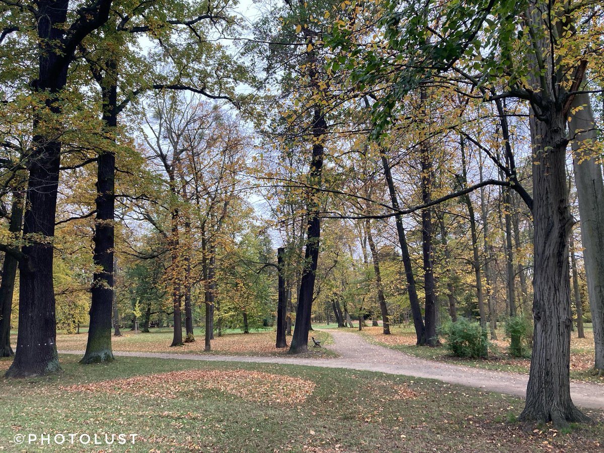 #Farbe #Colour #Farbfoto #Colourphoto #Farbfotografie #Colourphotography #Natur #Nature 📷 #iPhone #Sachsen #Dresden #GrosserGarten #Herbst #Autumn #Fall Autumn in the Great Garden. Good morning, friends.