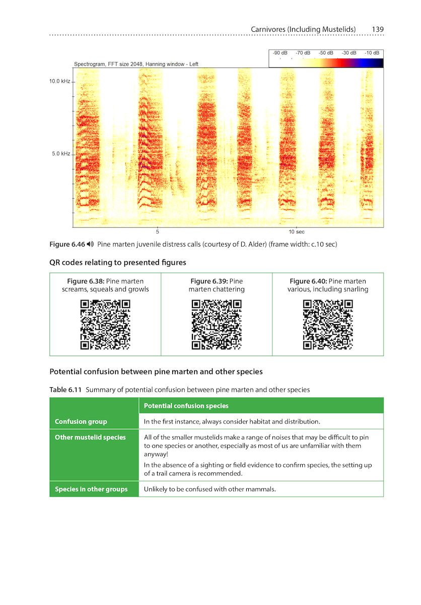 In stock now: Sound Identification of Terrestrial #Mammals of Britain & Ireland nhbs.com/sound-identifi… A groundbreaking volume that analyses sound recordings of all 42 species of Britain's terrestrial mammals. #zoology @BatAbility @NewsonStuart @pelagicpublish @Mammal_Society