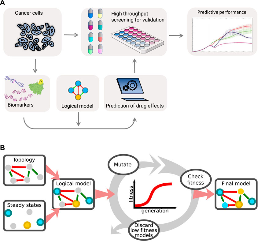 Åsmund Flobak (@asmundflobak) on Twitter photo Our paper on automated logical model calibration is out! Prior knowledge is paramount to synergy predictions. PI3Ki and TAK1i synergistically reduces tumor growth in cancer cell line and xenograft.
frontiersin.org/articles/10.33…
#JohnZobolas @mtrkuiper <a href="/NTNU/">NTNU</a> <a href="/NTNUikom/">NTNU Klinisk og Molekylær Medisin</a> <a href="/DrugLogics/">DrugLogics</a> Our paper on automated logical model calibration is out! Prior knowledge is paramount to synergy predictions. PI3Ki and TAK1i synergistically reduces tumor growth in cancer cell line and xenograft.
frontiersin.org/articles/10.33…
#JohnZobolas @mtrkuiper <a href="/NTNU/">NTNU</a> <a href="/NTNUikom/">NTNU Klinisk og Molekylær Medisin</a> <a href="/DrugLogics/">DrugLogics</a>