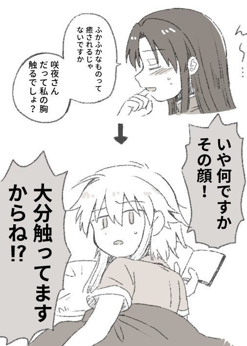 美鈴のおっぱいに対する世の咲夜さんは、美鈴のおっぱいが大好きか嫌い(嫉妬)の2極な気がしているのですが、私は美鈴のおっぱいが大好きな咲夜さんが好きです🍼 