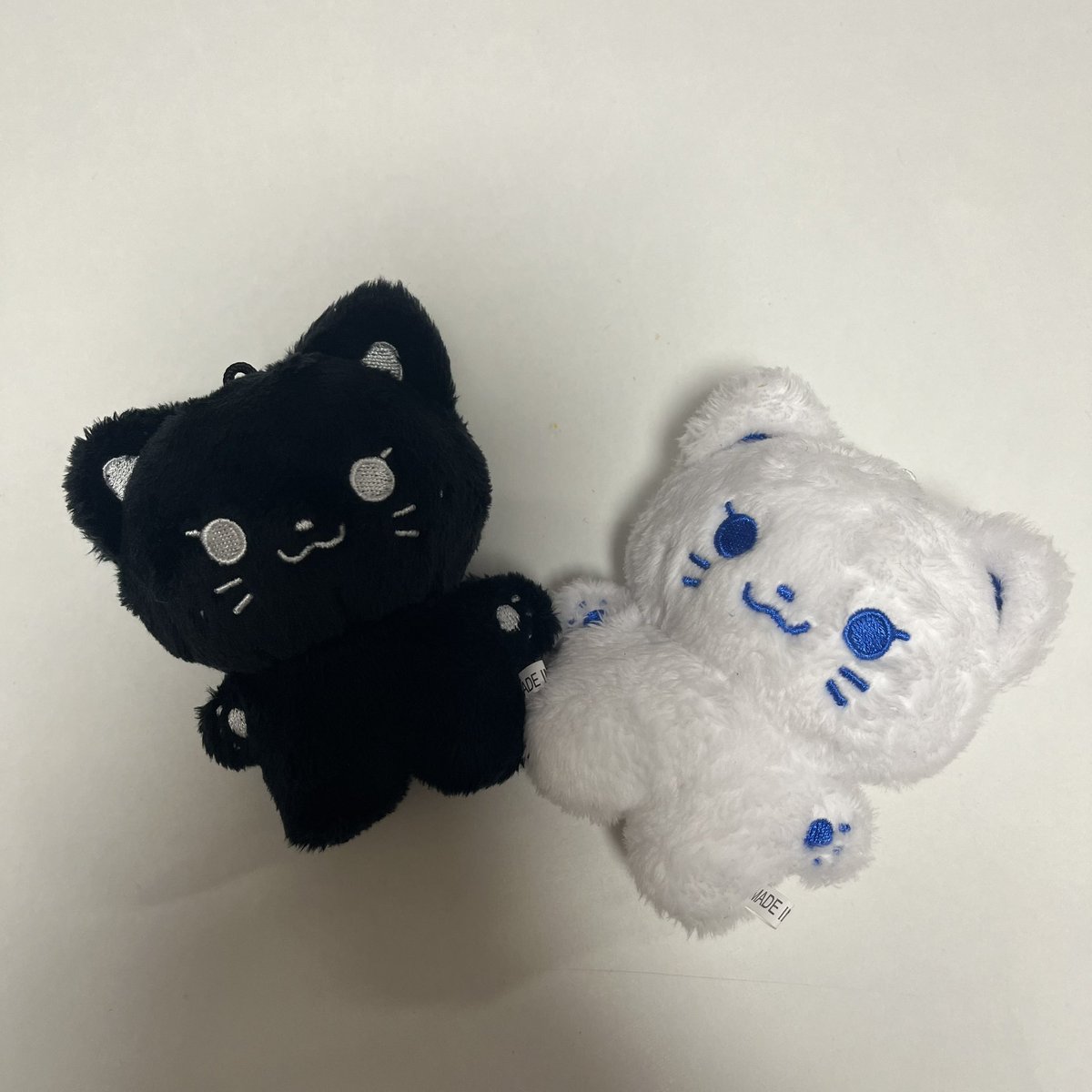 #탱냥이랑꽁냥

다 모았다냥🐈‍⬛🐈
얼렁 웅니 노래 듣고 싶다냥🐈‍⬛🐈