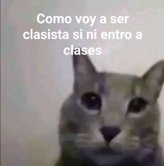 Wuolah (@wuolah) on Twitter photo 