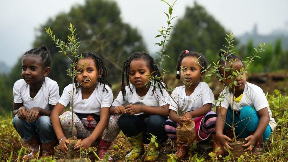 To secure our future, we must instill environmental stewardship and sustainability ideas in our children so that they can develop long -term positive behaviors towards the environment.
#WorldChildrensDay
#OurVoiceOurFuture 
#EnvironmentalJustice
#PlantATree