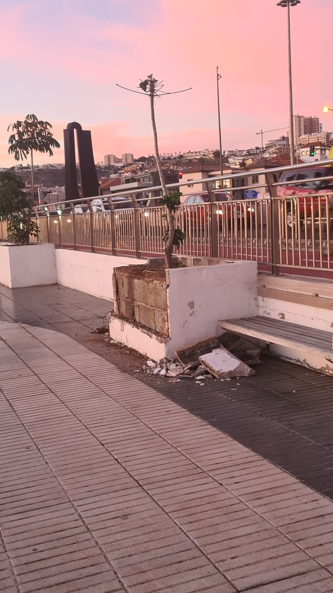 PaseandoaLola's tweet photo. 07:15 horas en Alcaravaneras, personas acampadas, suciedad, mal olor, paterres rotos desde hace semanas...este es el recorrido de los cruceristas que nos visitan...@CarolinaDarias @AyuntamientoLPA @CuidaTuIsla @canarias7 @laprovincia_es @PoliciaLPA @HectorJAleman https://t.co/x19NRifybJ
