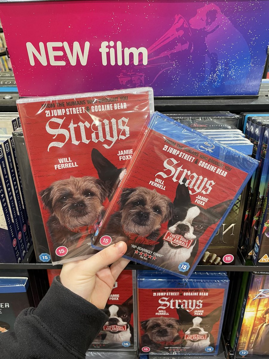 🎥 NEW RELEASE 🎥 Out today as part of new release: The Nun 2, Teenage Mutant Ninja Turtles Mutant Mayhem and Strays! Available on DVD, Bluray and UHD 4K 🔥 #tmnt #thenun2 #strays #newrelease #film