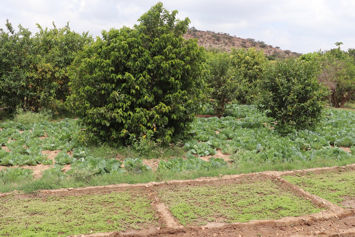 adra_somali's tweet photo. Today, the UK govt is hosting the
#GlobalFoodSecuritySummit. This is a golden opportunity to step up the fight against malnutrition and hunger. Our Leaders and all humanitarian actors must step up and save lives.
#StepUpSaveLives
#GFSS23
@ADRAIntl
@adrauk https://t.co/Z9wjFvXday