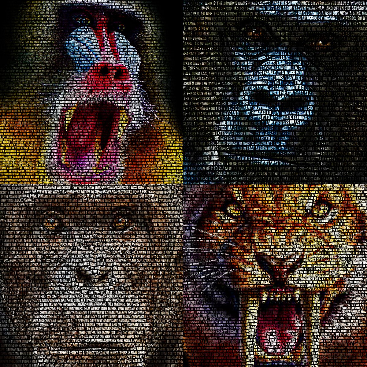 Anim4rt - NFTs tweet media