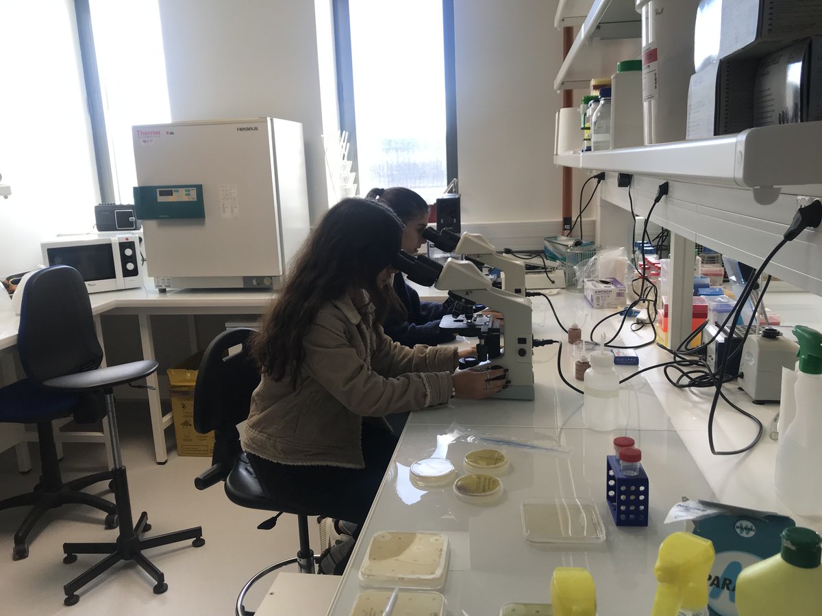 Département Sciences Biologiques et Médicales tweet media