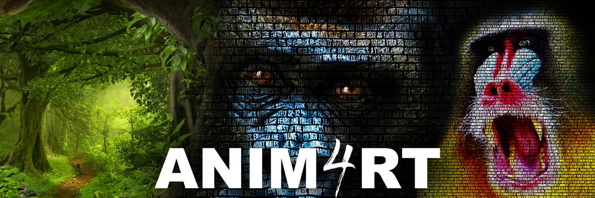 Anim4rt - NFTs tweet media