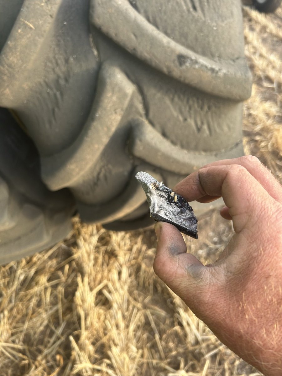 Andrew Polkinghorne tweet media