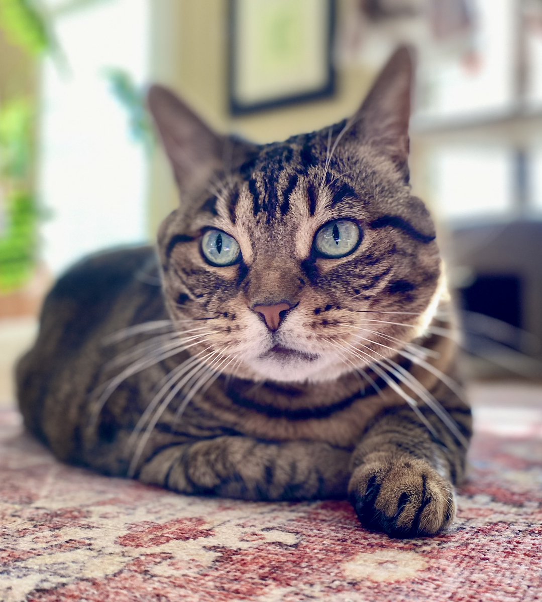 Always believe that something wonderful is about to happen. Mondays are no exception. 💗