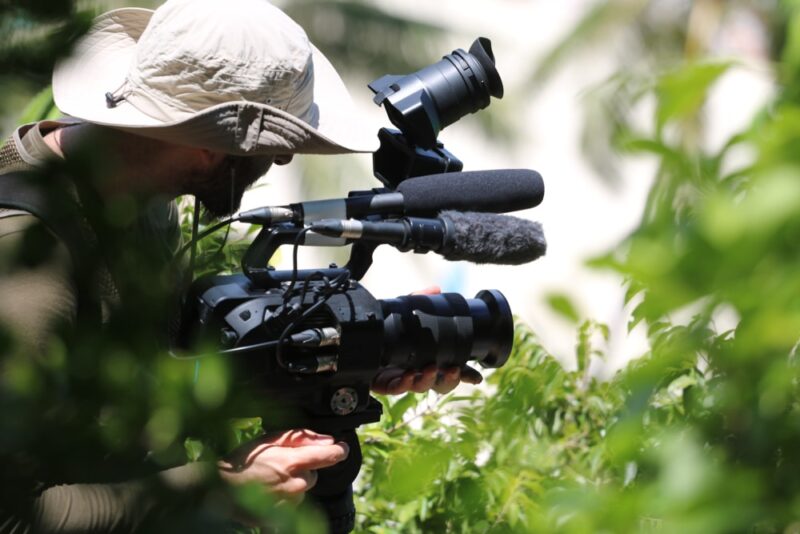 Anim4rt - NFTs tweet media