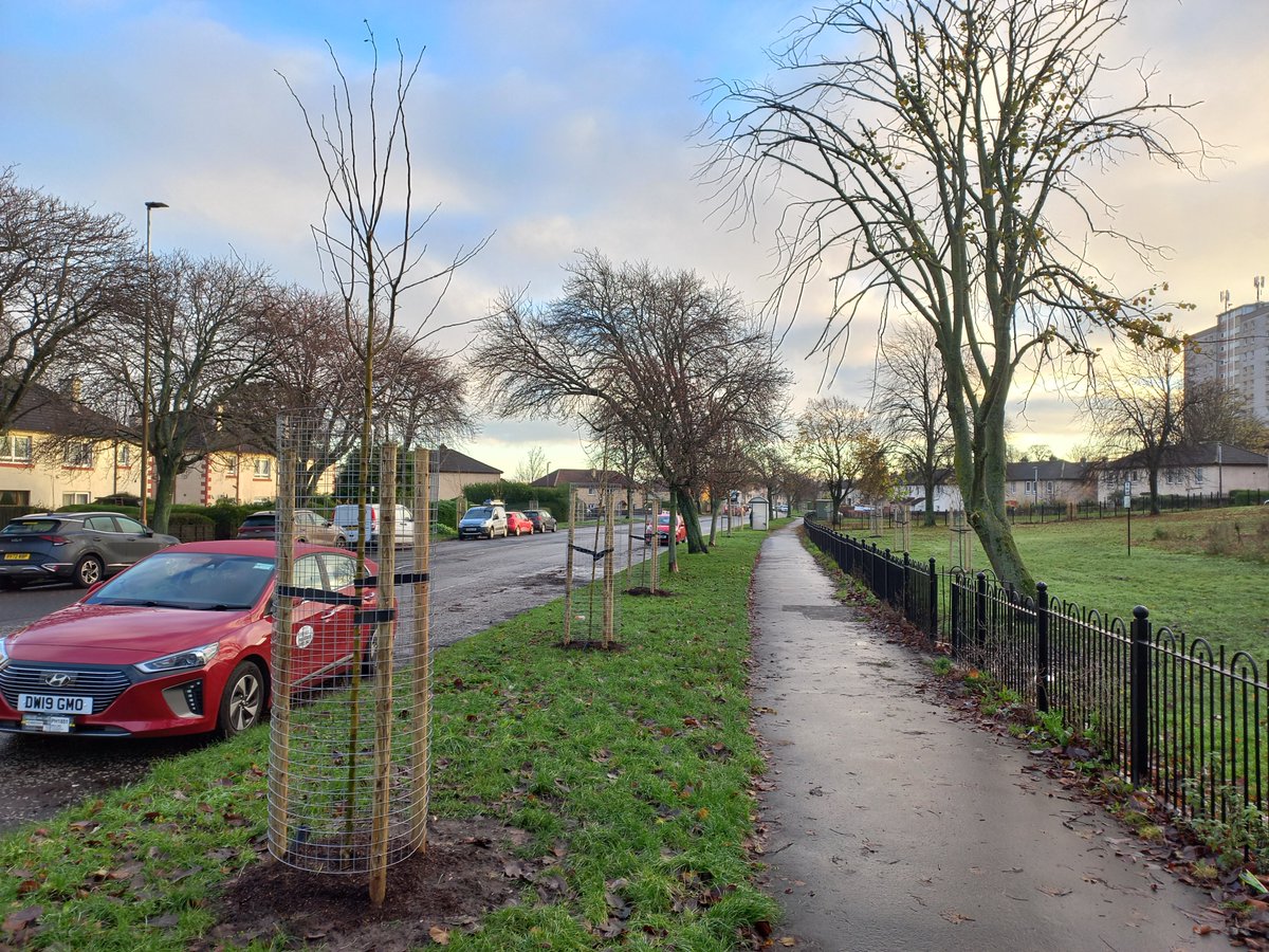 Delighted to see 68 new street trees planted in Sleigh Drive in Edinburgh. 54 were funded thanks to Tree Time donations and 14 that were funded through the Million Tree City Initiative. tree-time.com/new-trees-on-s… @Edinburgh_CC