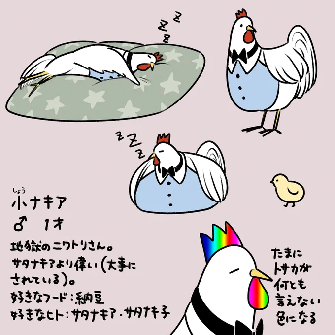 ニワトリ氏情報 #AandD 