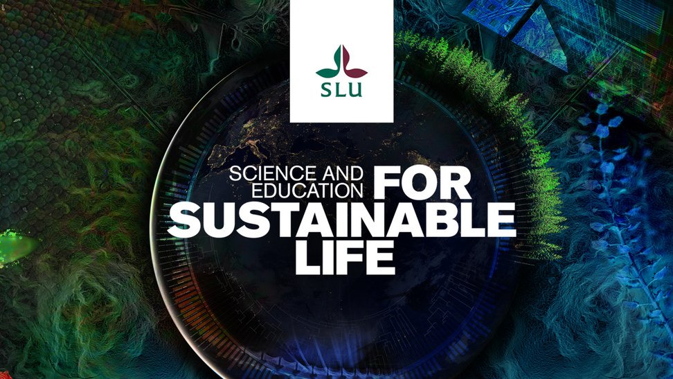 POST DOCTORAL POSITION: Are you interested in Nature-based Transformations in Cities and Regions? Check out a great opportunity and share with your networks. slu.se/en/about-slu/w… @harrietbulkeley @Robraven @NFrantzeskaki @lars_coenen