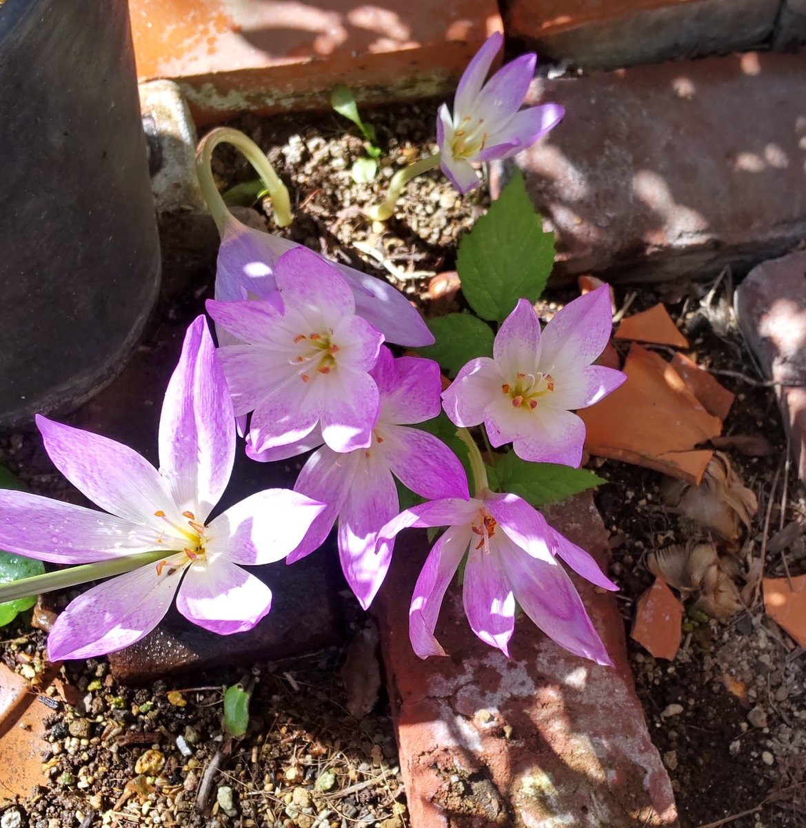 またここに戻ってきた

本音が言えるのかな…