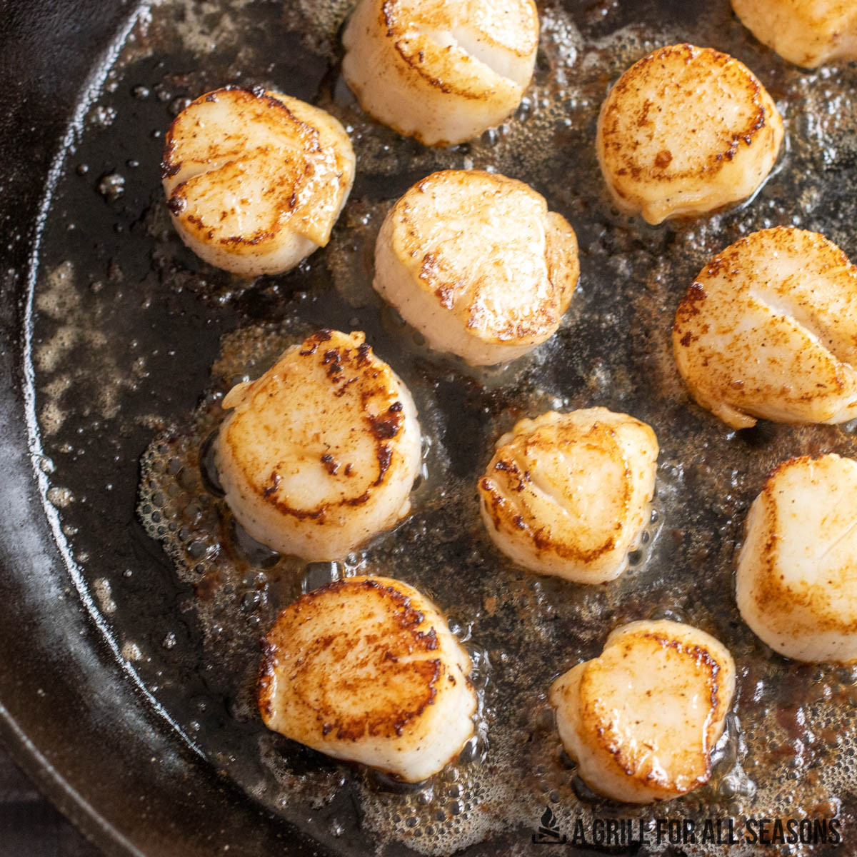 WOW FACTOR 
You may not immediately think of coffee n scallops as the perfect partners ...but think again 
I was pleasantly surprised how many recipes there are out there 
Sweetness of scallop balanced by the bitterness of coffee #matchmadeinheaven #coffeeinfusedoil 
R x
