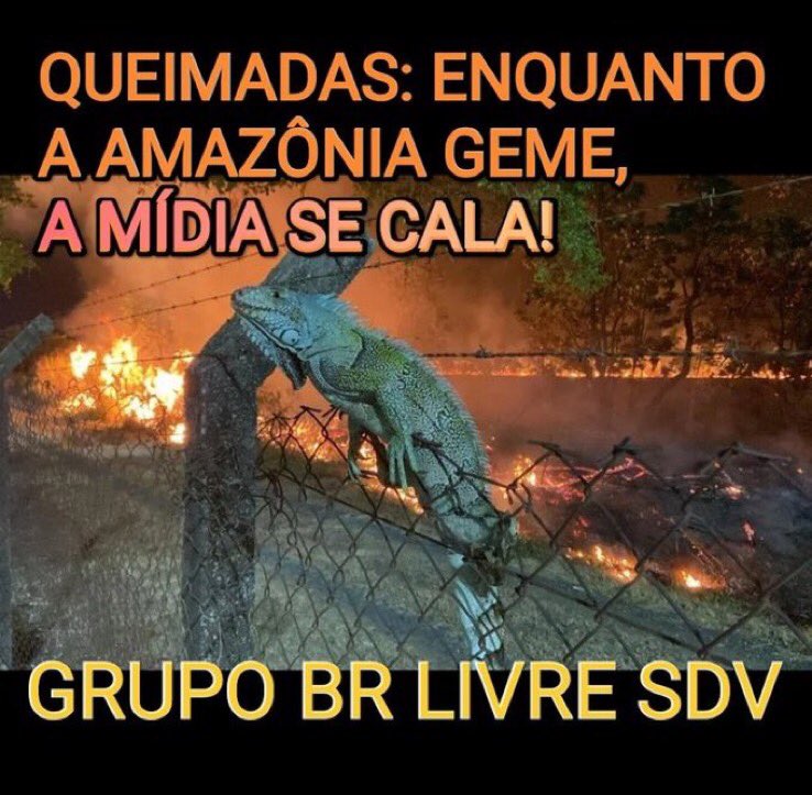 #BRLIVRESDV🇧🇷 🔥QUEIMADAS: ENQUANTO A AMAZÔNIA GEME, A MÍDIA SE CALA!🤫 @SimplesmenteRe @ALSBW01 @MarcelodeMarco2 @Nuu0204 @solmanzonubile @vanice_a @Melkpsobrinho @LeilaLicio @VanuzaRocha12 @LaFenix61 @Carlinhoscury @MarcioM61326104 @RodriZil