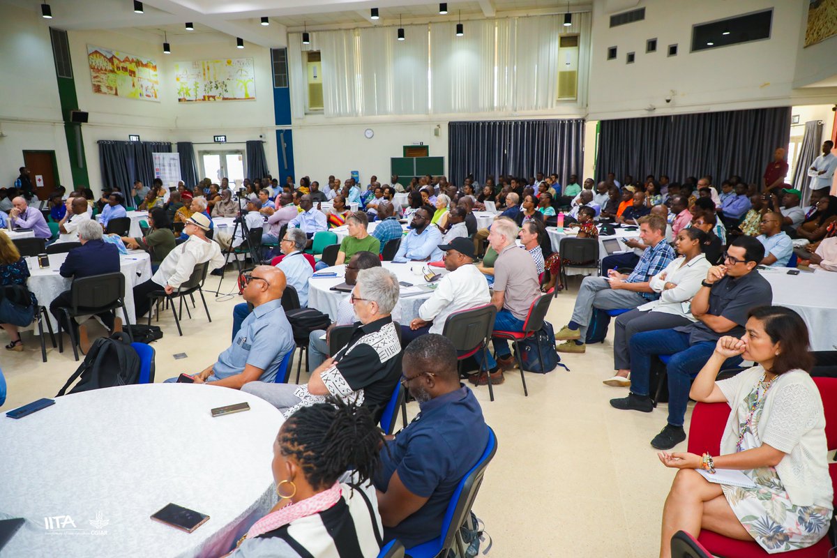 IITA_CGIAR's tweet photo. Follow #ongoing conversations at our Work Planning Week this year with the hashtag #WPW2023. Over 200 scientists from our hubs &amp; stations across #Africa meet in #Ibadan this week to discuss strategies to transform #foodsystems through #research innovations on the continent. https://t.co/fLOFhsxbNF