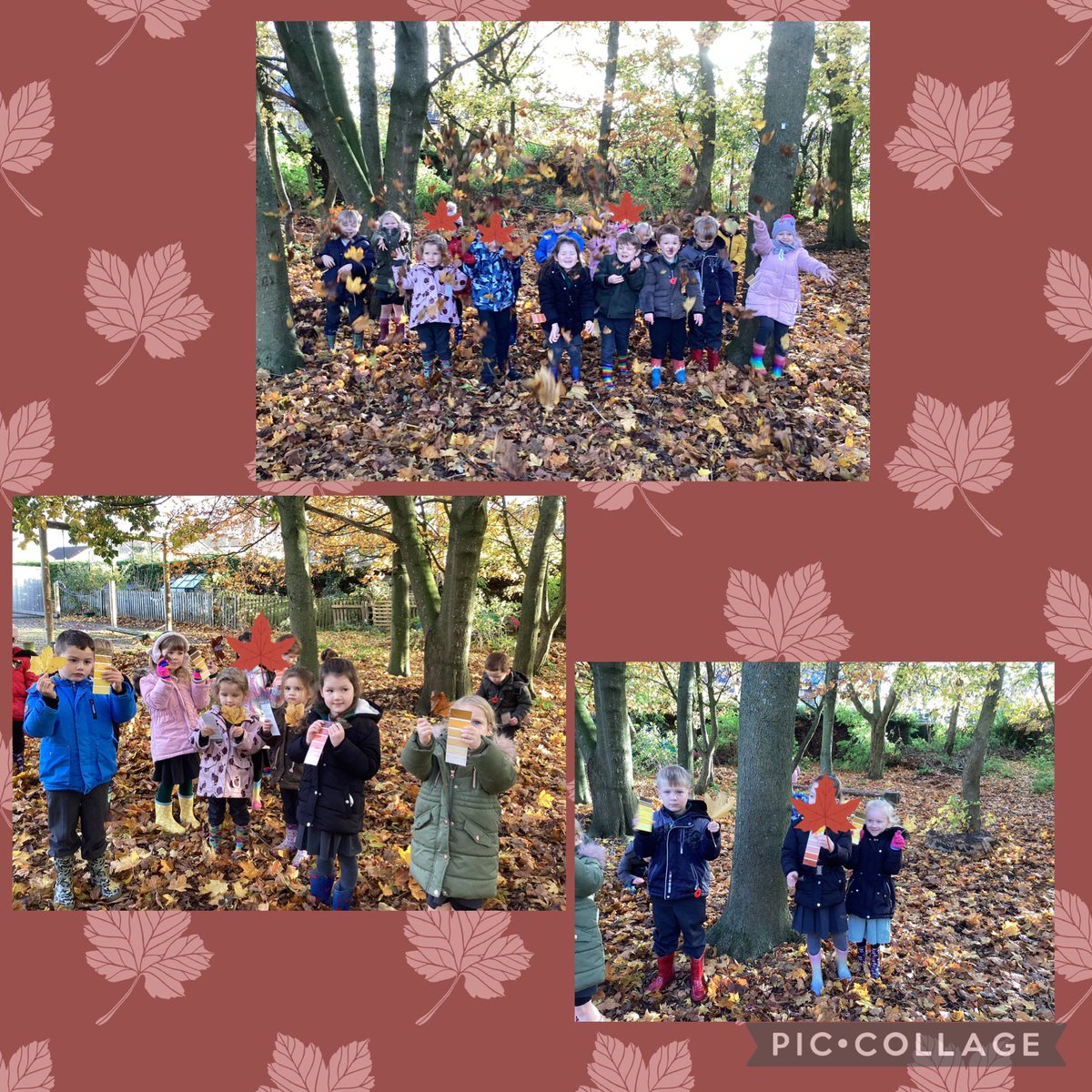 Foundation Stage went on an Autumn Walk 🍁🍂
#TP4Foundation #TP4science