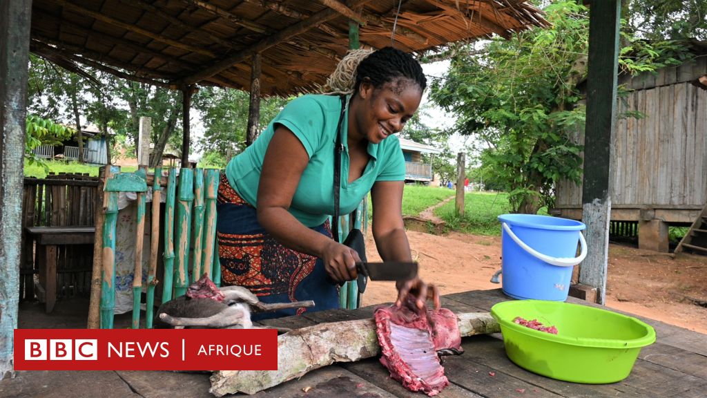 Cameroun : peut-on concilier consommation et préservations des animaux sauvages ? bbc.in/3T6Gfcv