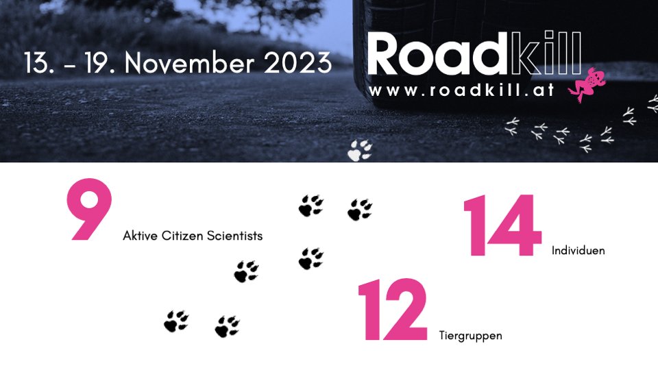 Wieviele überfahrene Tiere vergangene Woche in unserem #citizenscience Projekt gemeldet wurden, könnt ihr hier sehen.  Welche genau, findet ihr auf der Projektseite: roadkill.at/erfolge/woeche…