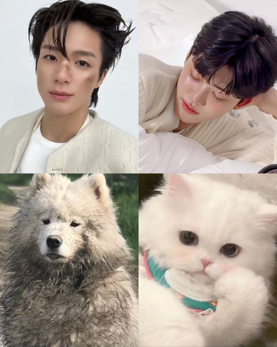 เปนแค่ซามอยเก่าๆเทอจาช่บมั้ย