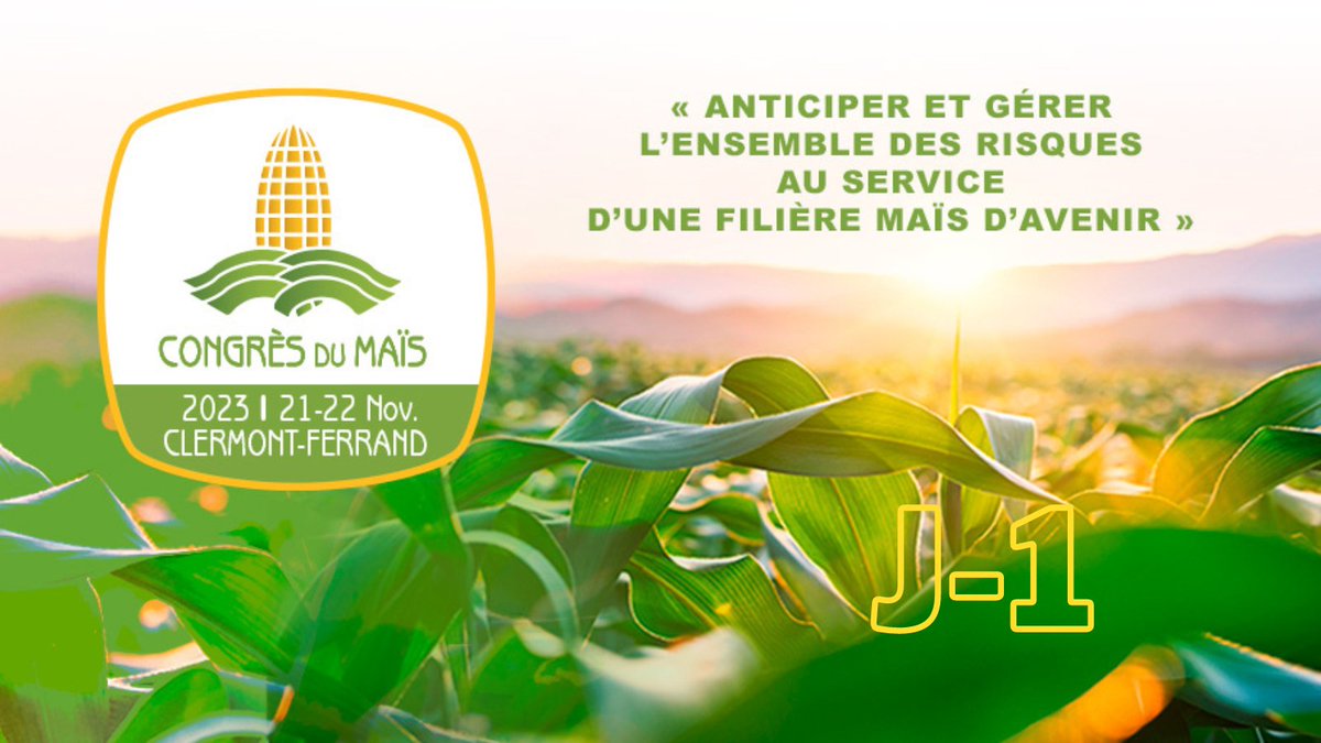 📢🌽 J-1 : près de 600 inscrits pour le #CongrèsMaïs2023 à Clermont-Ferrand ! On vous attend nombreux pour échanger ensemble, avec nos intervenants et experts, sur la gestion des risques et la construction d'une filière #maïs souveraine, pérenne et décarbonée !