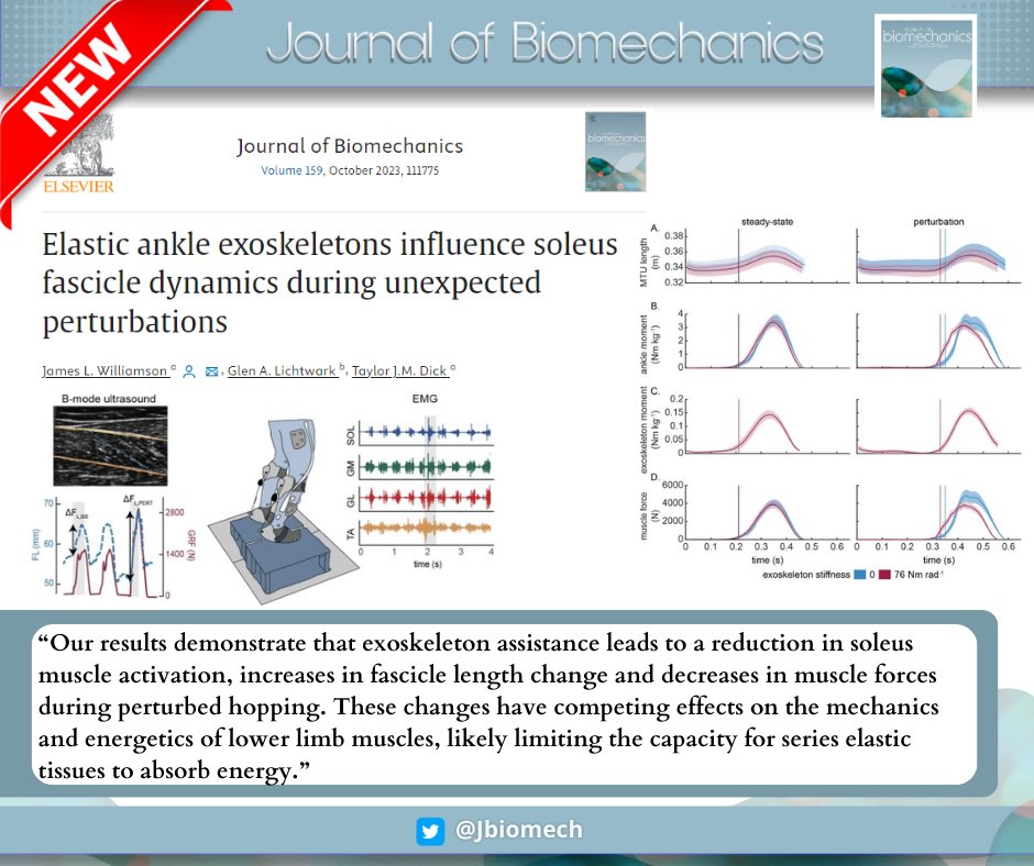 Discover how exoskeleton assistance alters muscle activation, fascicle length, and forces during hopping by reading this new publication in J Biomech. Exciting insights for designing adaptable assistive devices!

#biomechanics
#journalofbiomechanics

doi.org/10.1016/j.jbio…