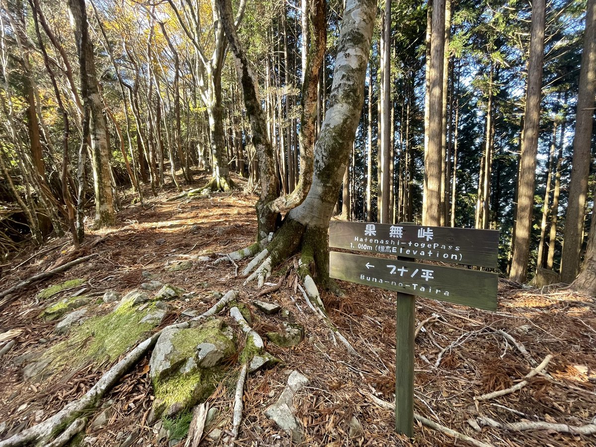 d_d__d_d__'s tweet photo. 熊野本宮大社→果無峠→果無集落

ほとんど誰もいない場所を散策できて、とても幸せでした。

東京まで帰ってくるのに8時間以上かかった🥶🥶🥶 https://t.co/iT4G1qgtZx