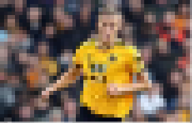 Wolves Fancast tweet media