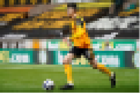 Wolves Fancast tweet media