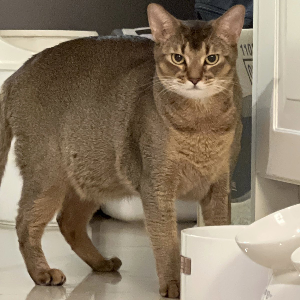 ผู้ฟังรู้สึกอย่างไร