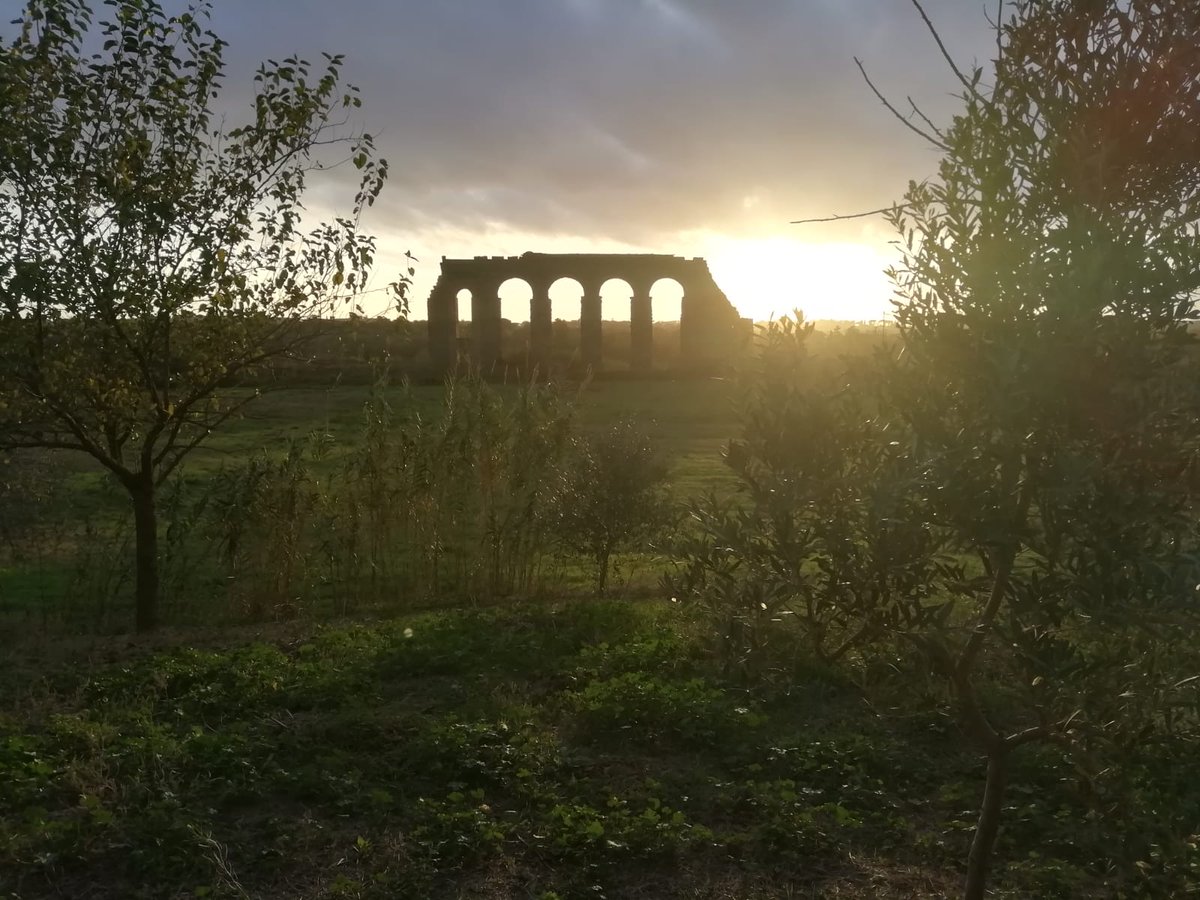 BRANCHES H2020 PROJECT tweet media