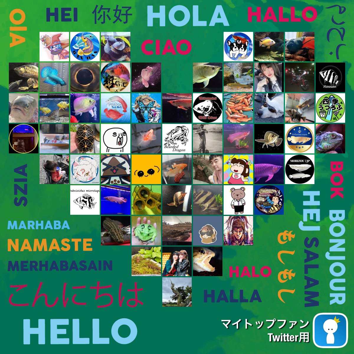 凄いマイトップファン #mytopfollowers #WorldHelloDay dixapp.com/mytopfollowers… から 自分を見つけたらリツイートしましょう @kamille528 @banban_aqua @nurinur00061041 @HQy5tydaceF1e2E @AquaBman @MYT16972770 @Houseimaru4040 @qLMLepsAjzrgSTY @Hoplias_tw @waruze0928tetsu