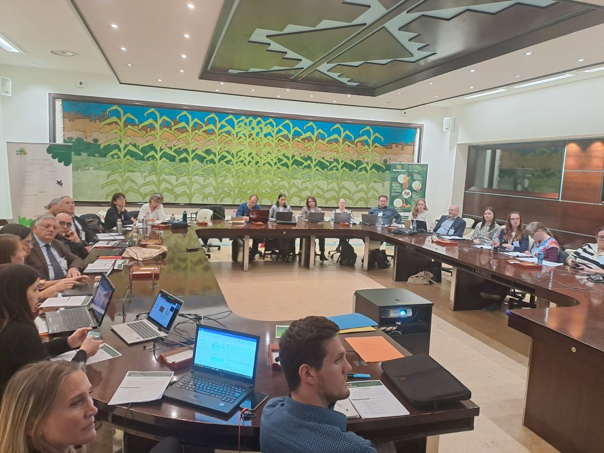 Branches Project Final Conference, hosted at FAO, Rome, thanks to the collaboration of Mountain Partnership (facebook.com/MountainPartne…). Great success in terms of expected results, new ideas on future collaborations! Thanks to all participants and organizers!