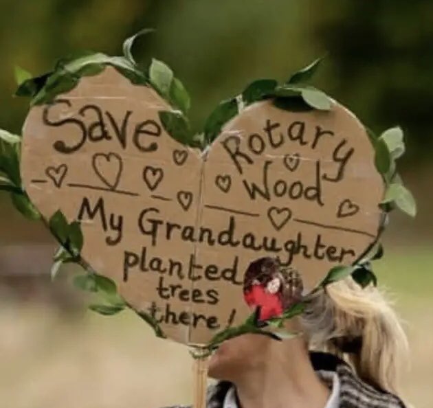 Urgent call to meeting to save the Pinewoods, Rotary Wood. Sunday 26th November, 2:30-3:30pm at Quaker Friend’s Meeting House, Harrogate.