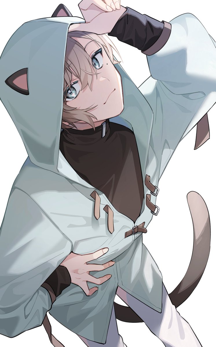 kanae (nijisanji) male focus 1boy mole under eye hood solo hood up tail  illustration images