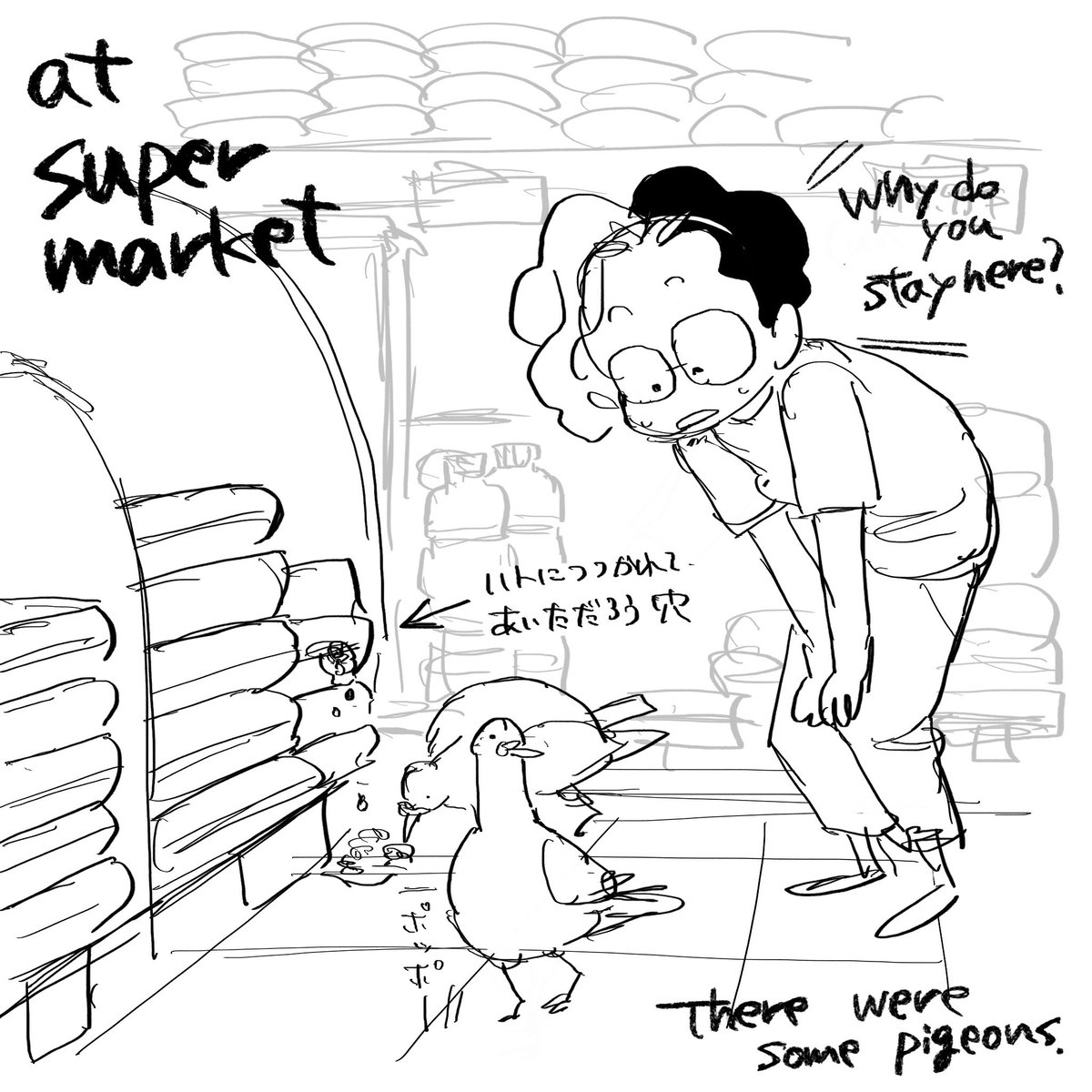 yesterday I met some pigeons,

In the "supermarket"!!
Oh my goodness!! Wow!

So excited.

I love Fiji. 