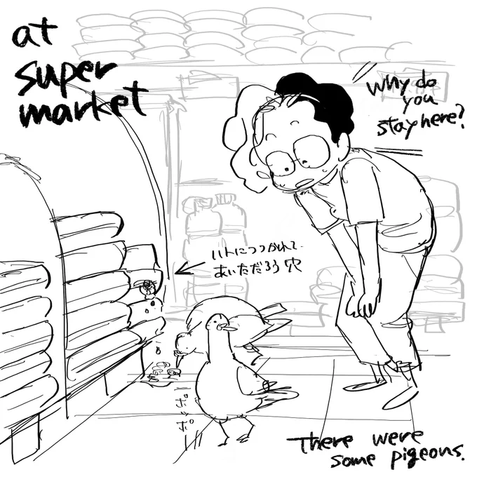 yesterday I met some pigeons,

In the "supermarket"!!
Oh my goodness!! Wow!

So excited.

I love Fiji. 