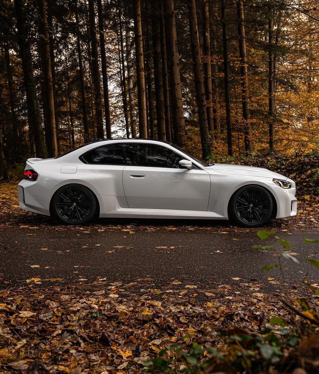 Clean BMW M2 🕊