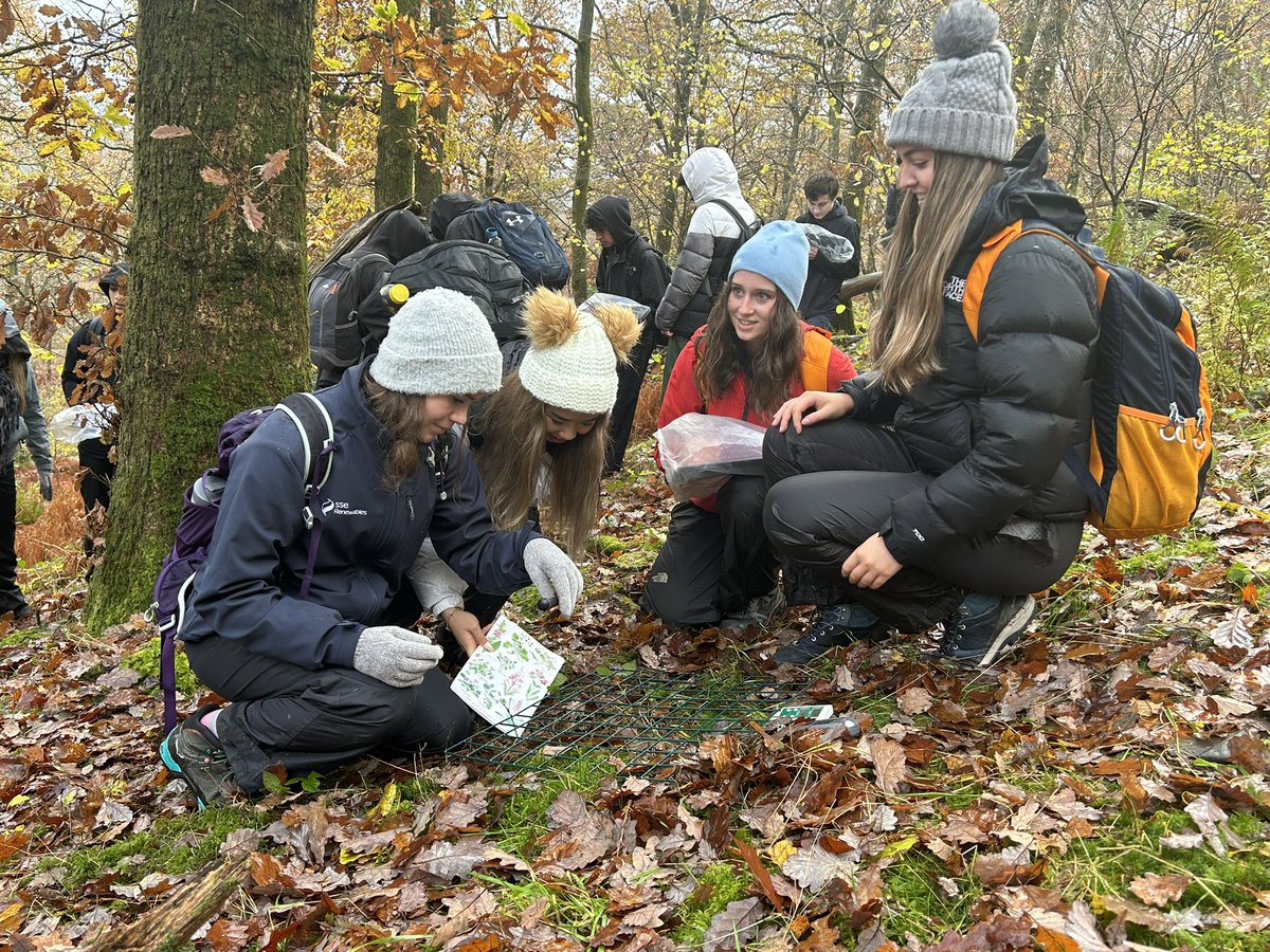 Un coppiced woodland @Hutchesons <a href="/FSCBlencathra/">FSC Blencathra</a>