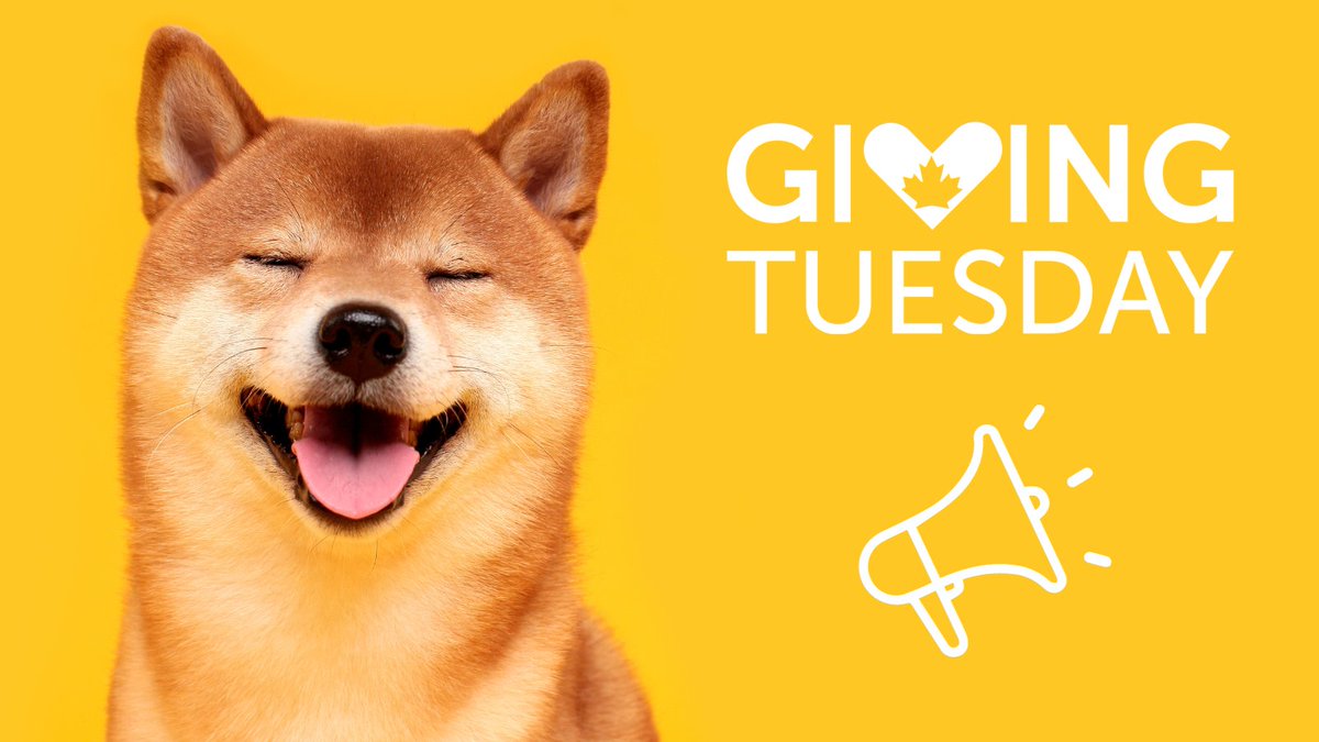 Farley Foundation tweet media