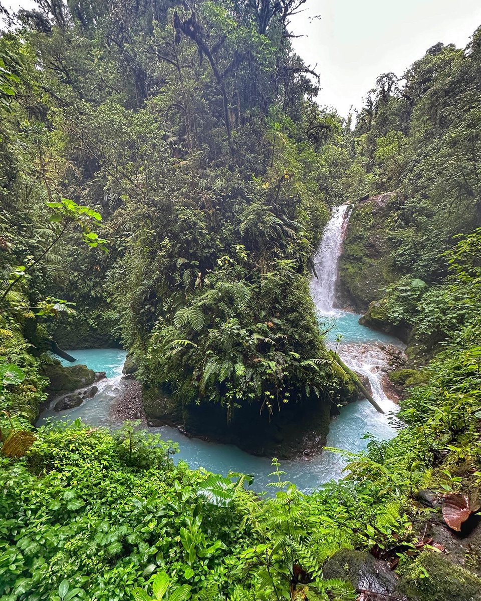 Checking out blue waterfalls in Costa Rica! If you’re planning a visit I seriously can’t recommend see the “Blue Falls of Costa Rica” and “Catarata Del Toro” enough! This area is about 2 hours outside of San José but TOTALLY worth it! 💦🩵💙