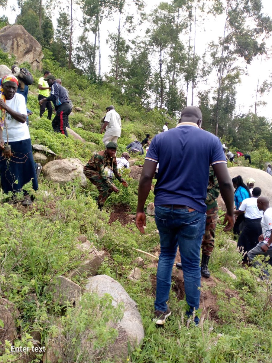 KeForestService's tweet photo. Following the successful #NationalTreeGrowingDay led by His Excellency the President Dr.William Ruto, @KeForestService has continued to coordinate several tree planting activities across the country. https://t.co/GEnQBUGj6F