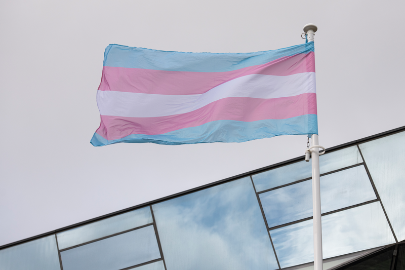 MayorofLondon's tweet photo. Transphobia is abhorrent and has no place in our city or our society.

This Transgender Day of Remembrance we honour every life lost to transphobic hate and violence. 

I stand united with London's trans and gender non-conforming communities. #TDOR2023 https://t.co/B0C0hj1OCg