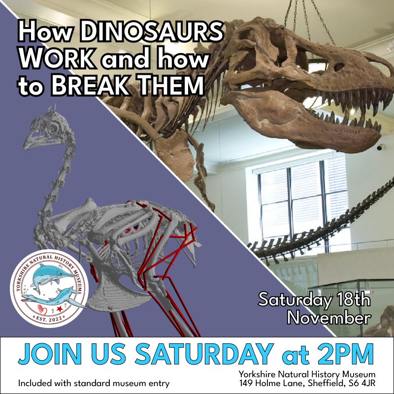 NSM_UK's tweet photo. Visit the YNHM this Saturday at 2pm to explore the biomechanics of dinosaurs.

Presented by @SamRRCross, PhD Student at the University of Liverpool.

https://t.co/D7XHcq9ou7

#lecture #dinosaurs #fossils #palaeontology https://t.co/sJBI08GIEB