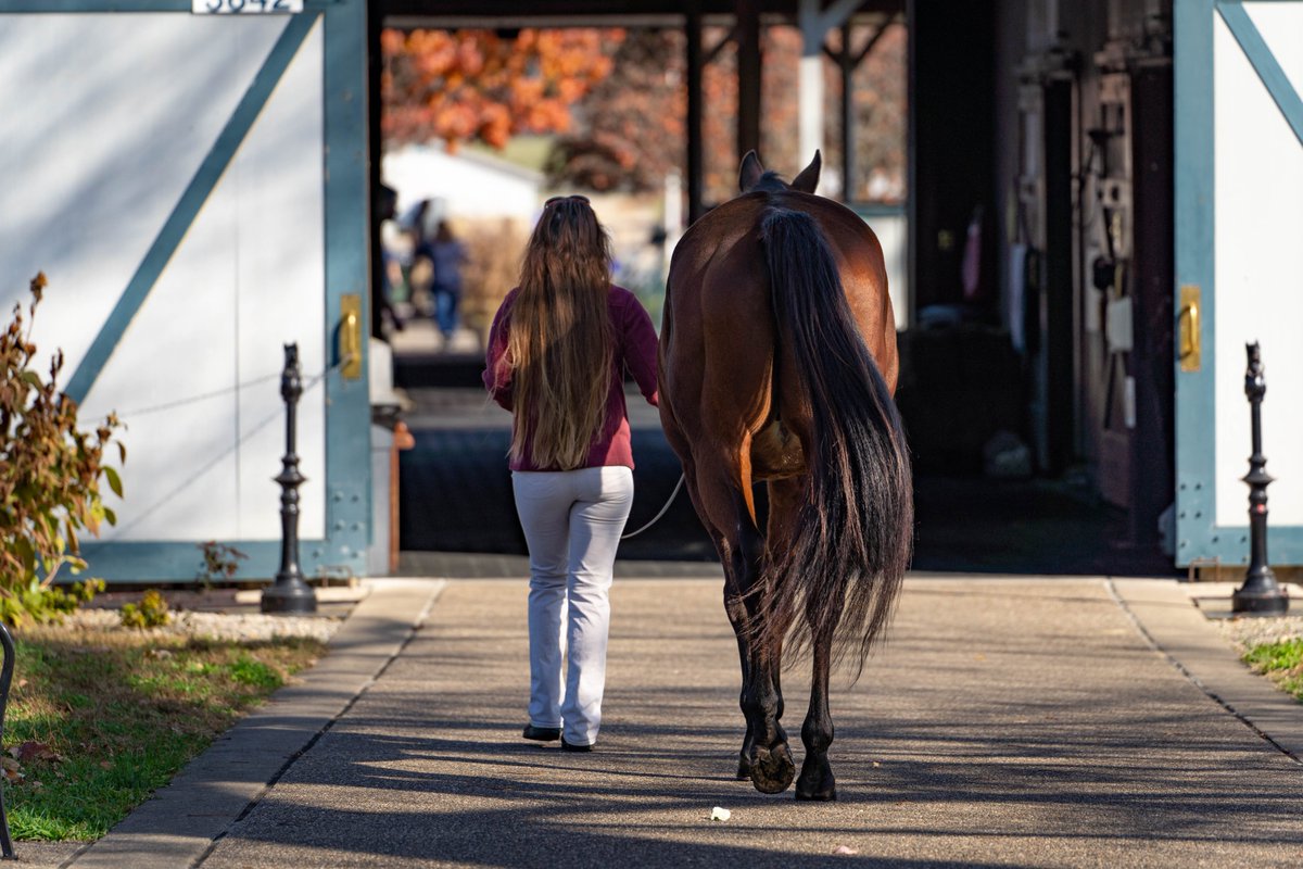 The Kentucky Horse Park is excited to announce that two-time Breeders' Cup Sprint winner Roy H has joined the Hall of Champions! Read More ... kyhorsepark.com/two-time-breed…