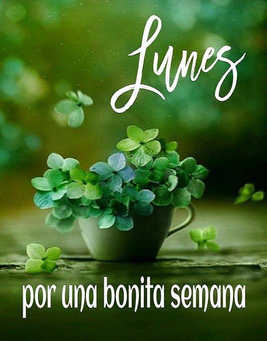Andrefunes7's tweet photo. #lunes #Monday https://t.co/mUycNOesMD