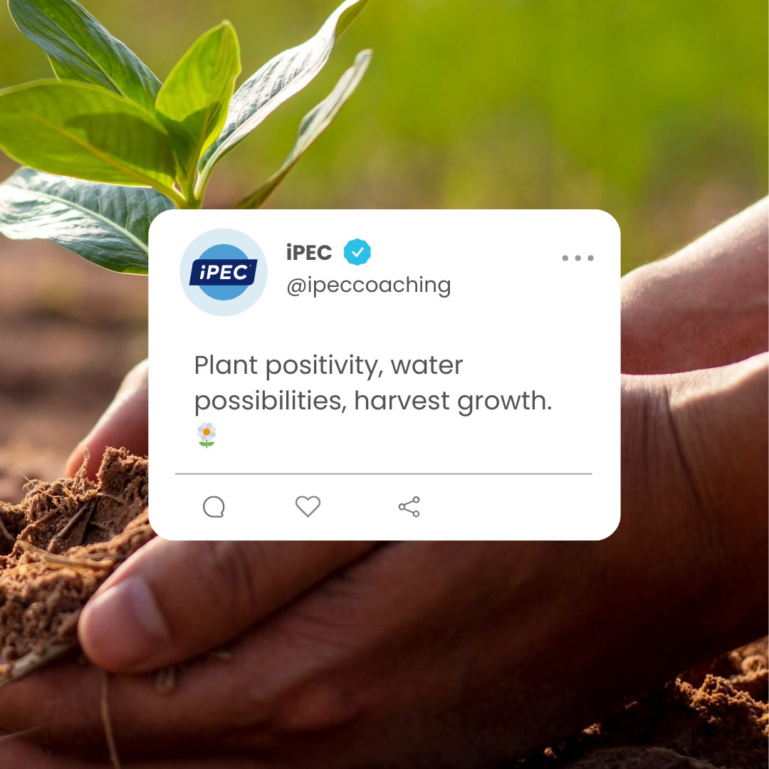 Plant curiosity, water possibilities, harvest growth. 🌼 

Growth doesn't look the same for everyone; it's a uniquely personal journey shaped by experiences, challenges, and unexpected surprises along the way.